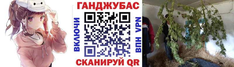 Купить где  Буй  Марихуана SATIVA & INDICA 